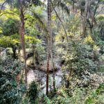 Casa à venda com 4 quartos, sendo 1 suíte, em Serra da Cantareira, Mairiporã, SP