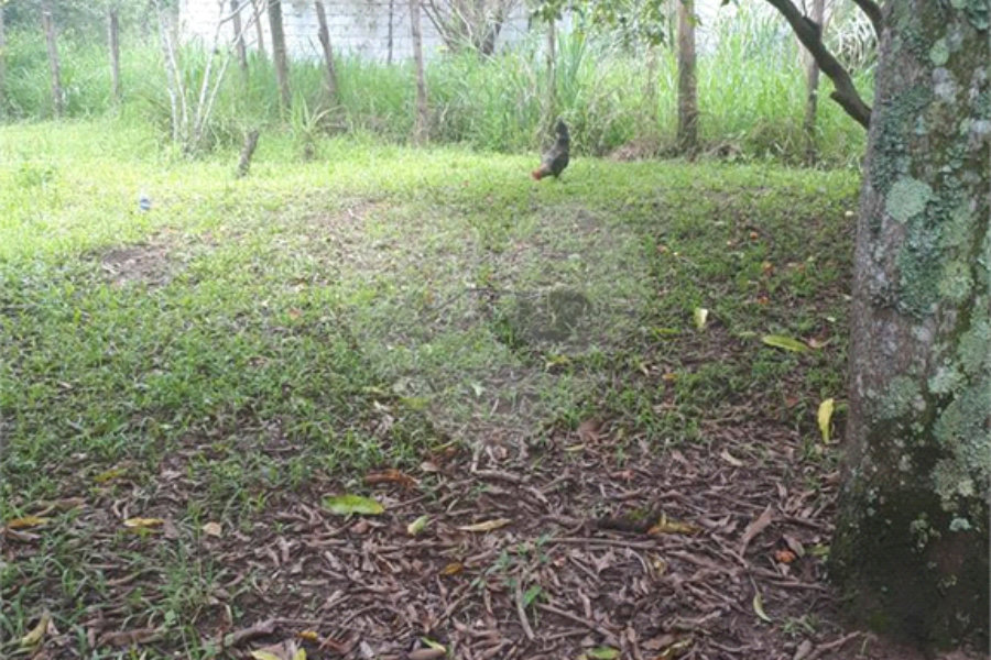 Chácara à venda com 4 quartos, sendo 2 suítes, em Serra da Cantareira, Mairiporã, SP