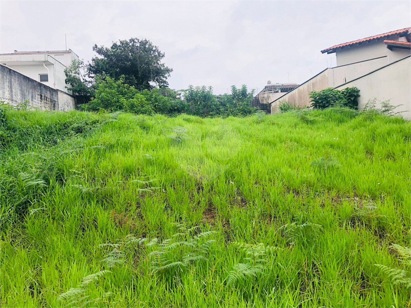 Terreno à venda em Vila Nova Socorro, Mogi das Cruzes, SP