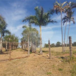 Sitio no Jardim Embaré