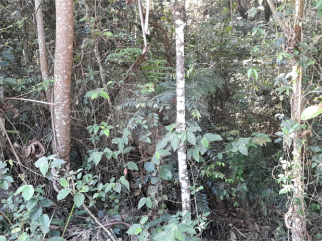 Terreno à venda em Roseira, Mairiporã, SP