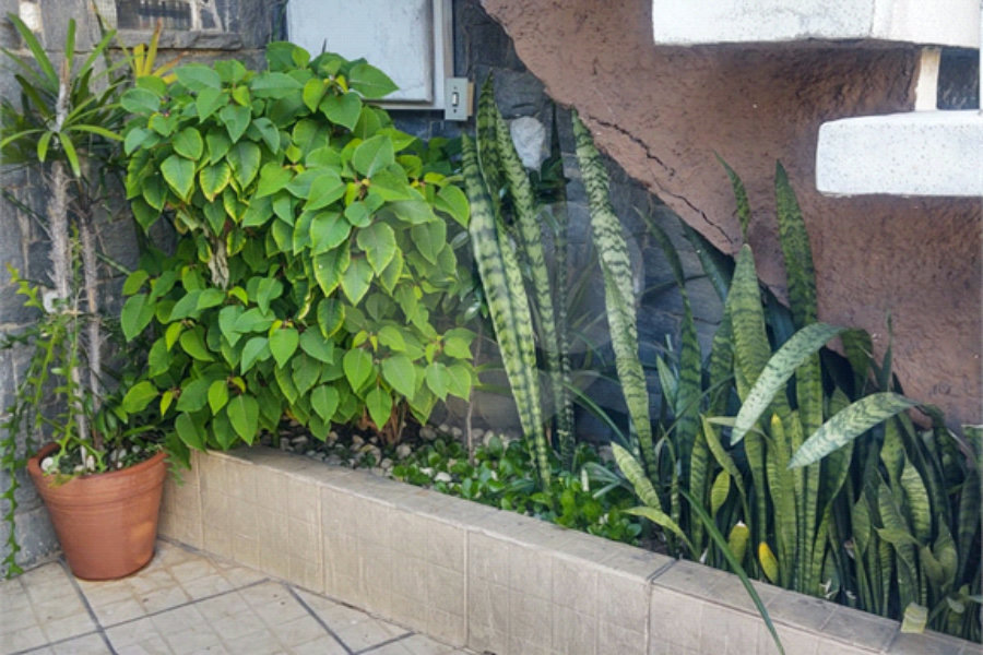 Casa à venda com 3 quartos em Vila Guilherme, São Paulo, SP