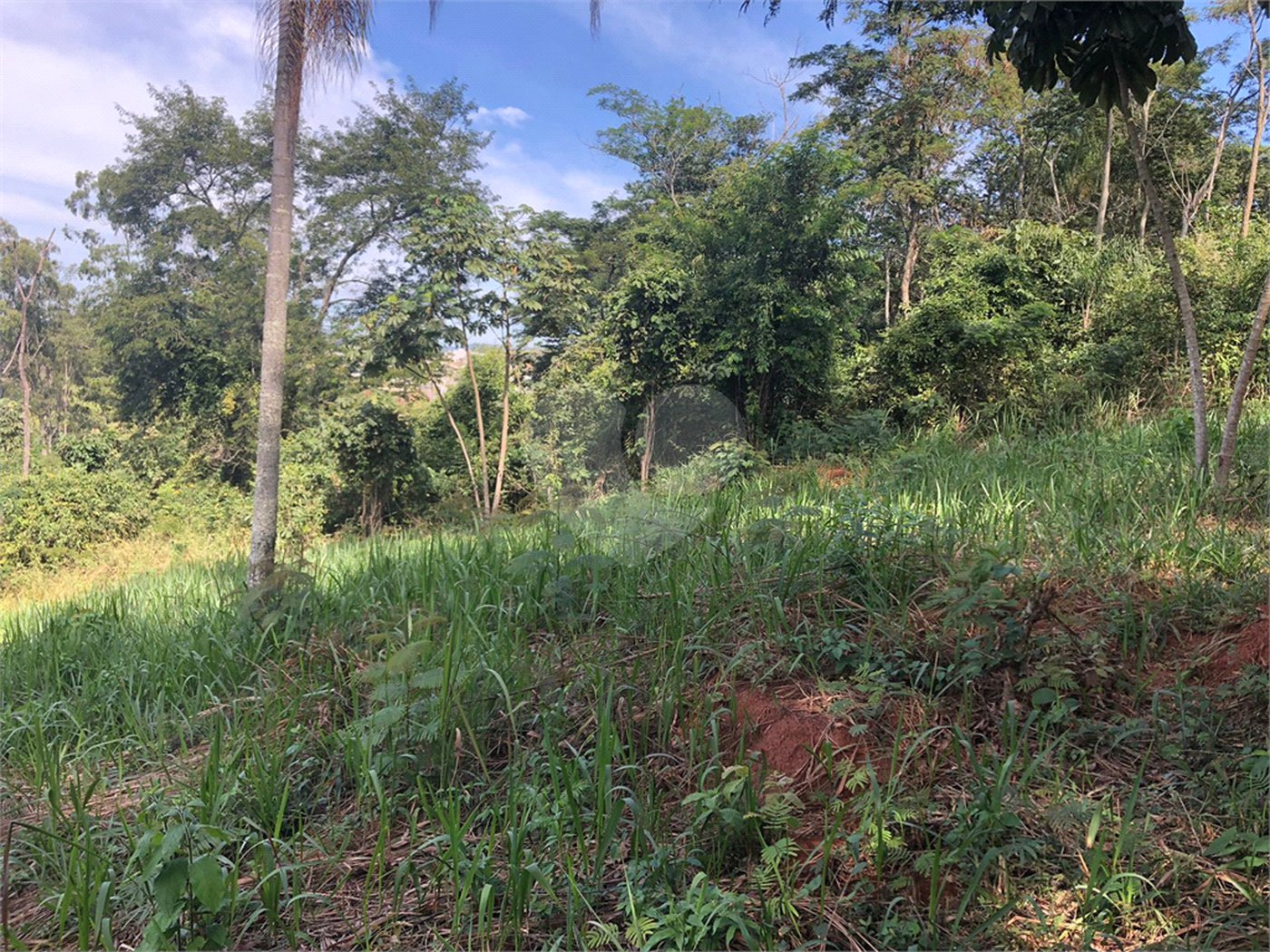 Terreno à venda no Centro, Bom Jesus dos Perdões, SP