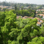 Apartamento à venda com 3 quartos, sendo 1 suíte, em Alto da Boa Vista, São Paulo, SP