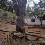 Sítio à venda com 5 quartos, sendo 1 suíte,  em Mirante do Arujá, Arujá, SP