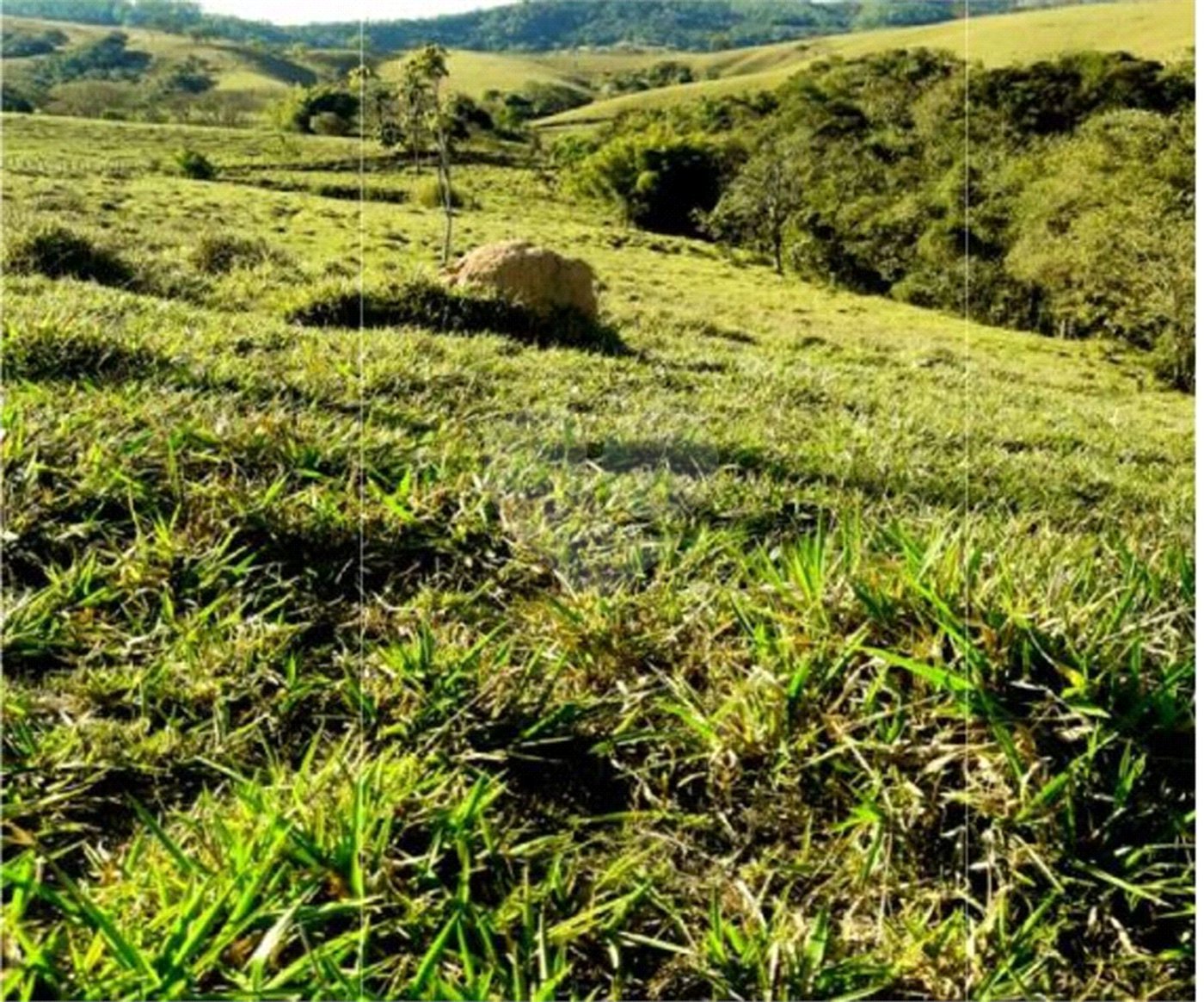 Chácara à venda no Centro, Monte Sião, MG
