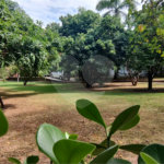 Chácara à venda com 3 quartos, sendo 1 suíte, em Chácara Flórida, Itu, SP