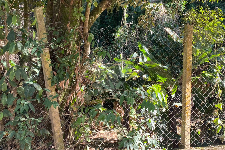 Terreno à venda em Luiz Fagundes, Mairiporã, SP