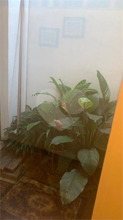 Sobrado à venda com 4 quartos, sendo 1 suíte, em Tremembé, São Paulo, SP