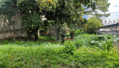 Terreno à venda em Macedo, Guarulhos, SP