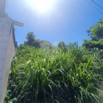 Terreno à venda em Caravelas, Armação dos Búzios, RJ