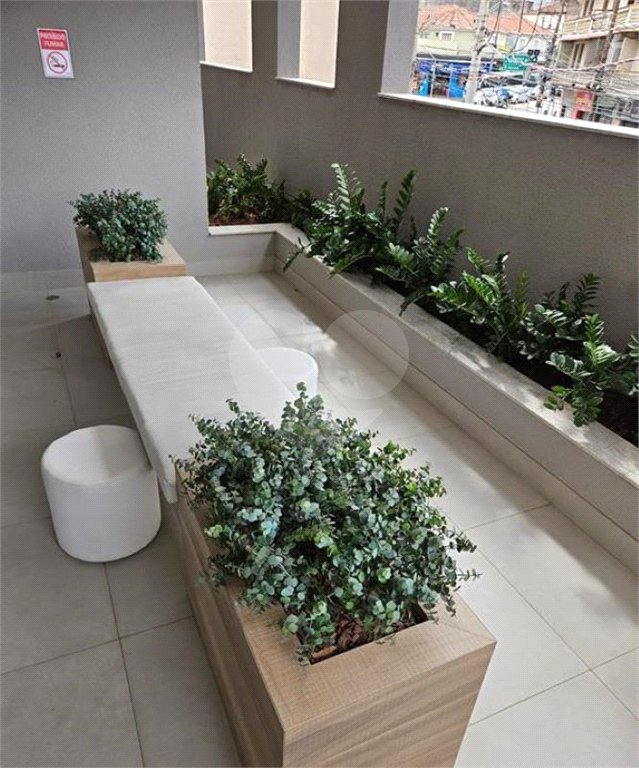 Apartamento à venda com 1 quarto em Tucuruvi, São Paulo, SP
