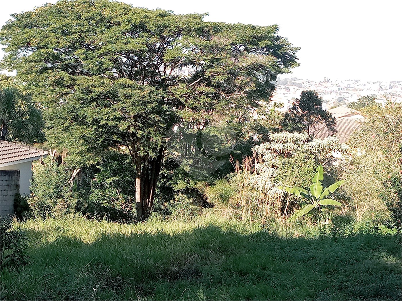 Terreno à venda em Bosque, Vinhedo, SP