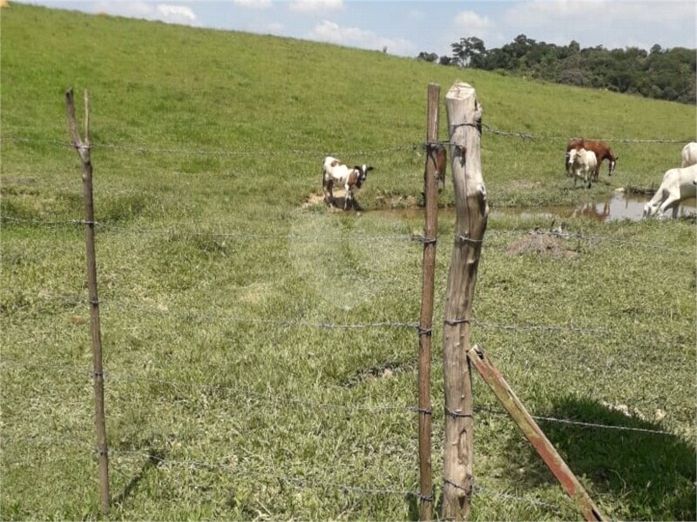 Área de Terra à venda em Área Rural de Monte Mor, Monte Mor, SP