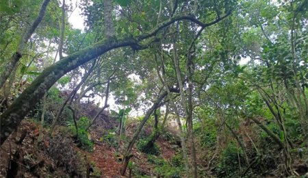 Terreno à venda em Vila Sol Nascente, Suzano, SP