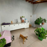 Casa à venda com 3 quartos, sendo 1 suíte,  em Villa Di Cesar, Mogi das Cruzes, SP