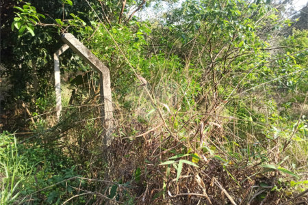 Terreno à venda em Bosque dos Eucalíptos, Atibaia, SP