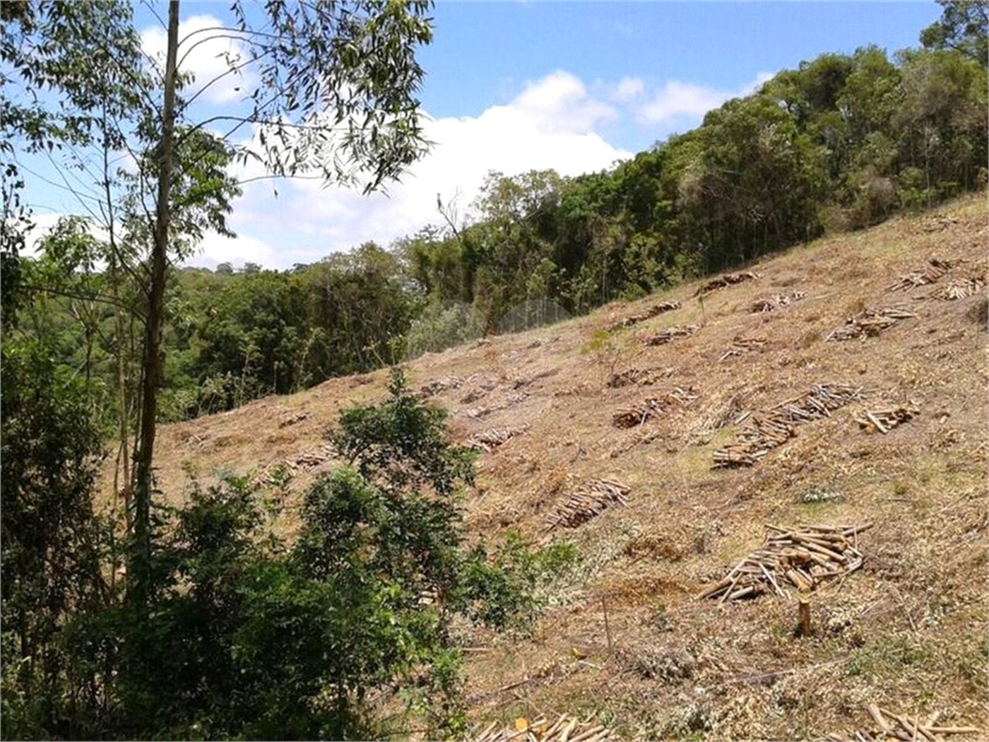 Terreno à venda em Gabriel Piza, São Roque, SP
