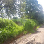 Terreno à venda em Vale Verde, Valinhos, SP