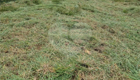 Terreno à venda em Parque Residencial Itapeti, Mogi das Cruzes, SP