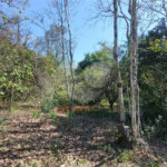 Sítio à venda com 3 quartos, sendo 1 suíte,  em Da Barra, Salto de Pirapora, SP