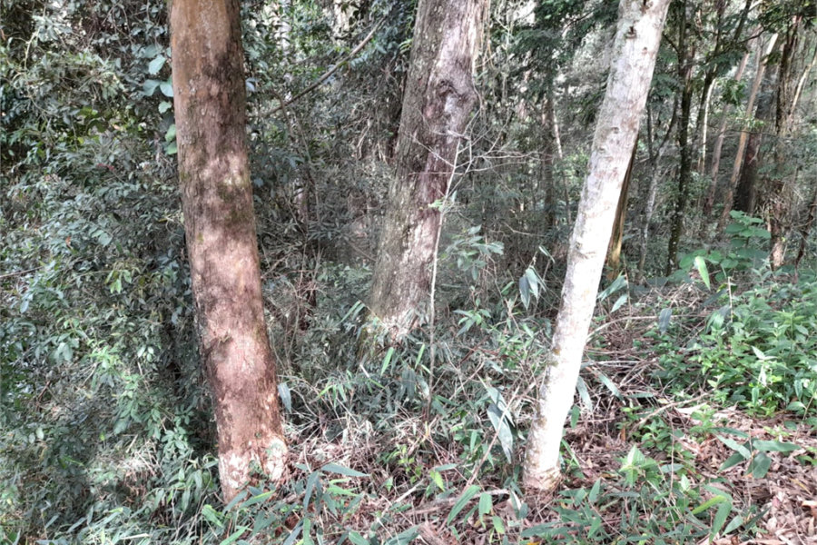 Terreno à venda em Roseira, Mairiporã, SP