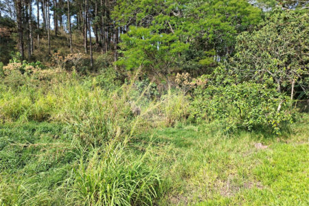 Terreno à venda em Chácara Fernão Dias, Bragança Paulista, SP