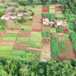 Terreno à venda em Jardim Itaú, Ribeirão Preto, SP