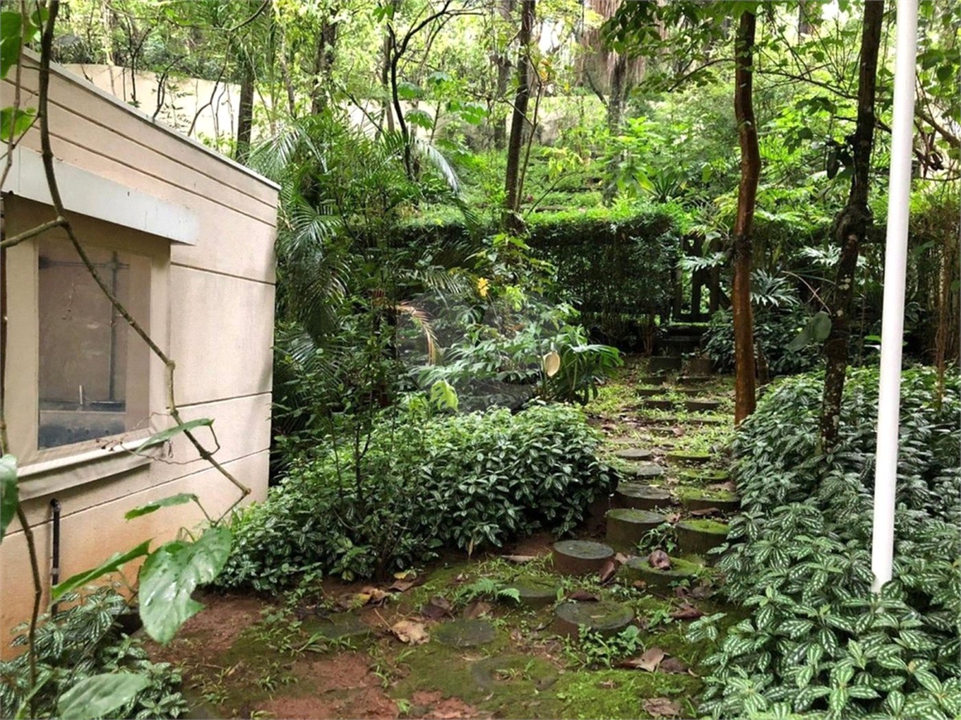 Apartamento à venda com 3 quartos, sendo 1 suíte, em Jardim Ampliação, São Paulo, SP