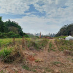 Terreno à venda em Jardim Boa Vista (zona Oeste), São Paulo, SP