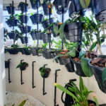 Apartamento à venda com 3 suítes em Jardim Marajoara, São Paulo, SP