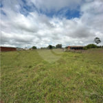 Terreno à venda em Residencial Júlia de Oliveira Cardinal, Ponta Porã, MS