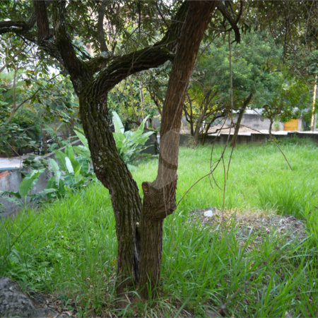 Terreno à venda em Brooklin Velho, São Paulo, SP
