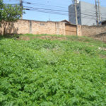 Terreno à venda em Casa Verde, São Paulo, SP
