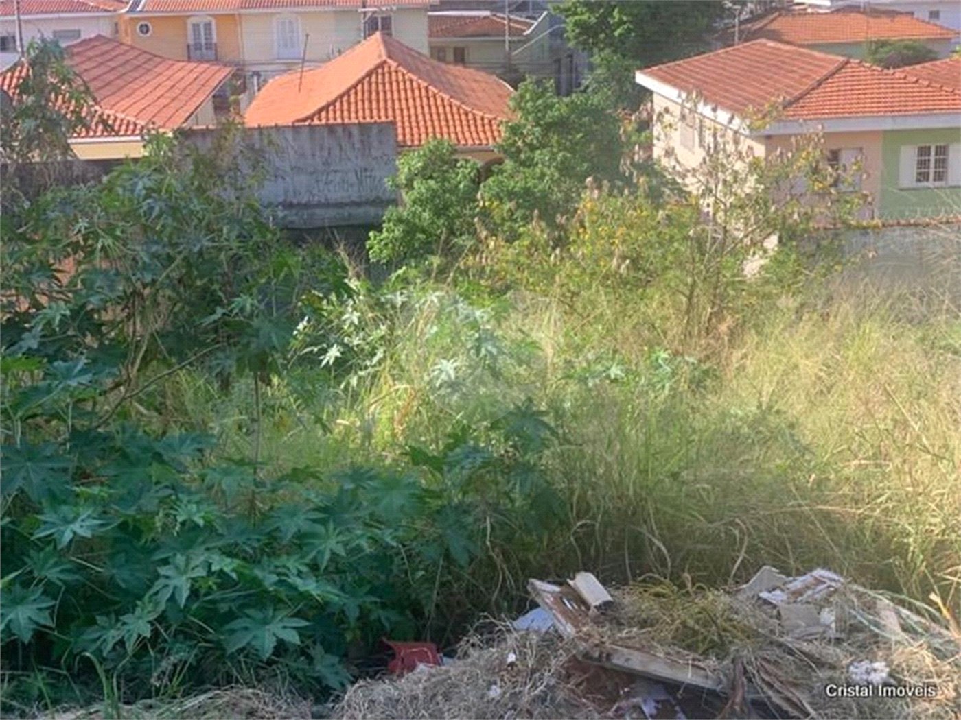 Terreno à venda em Jardim Bonfiglioli, São Paulo, SP
