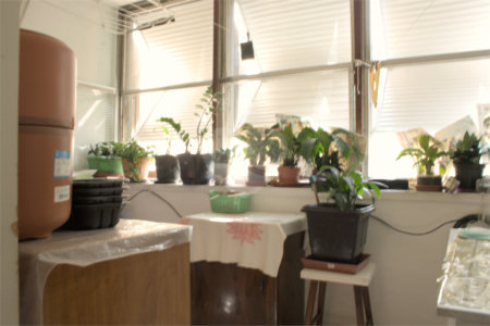 Apartamento à venda com 1 quarto em Vila Buarque, São Paulo, SP