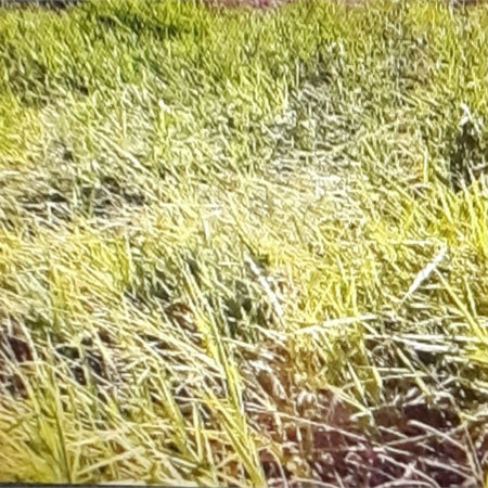 Terreno à venda em Estância Santa Maria do Portão, Atibaia, SP