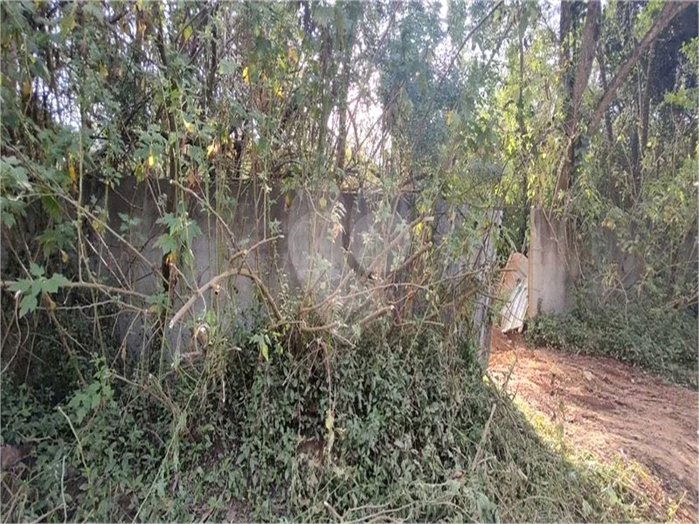 Terreno à venda em Roseira, Mairiporã, SP
