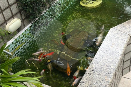 Sobrado à venda com 3 quartos, sendo 1 suíte, em Vila Medeiros, São Paulo, SP