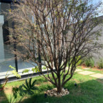 Casa em condomínio à venda com 4 suítes em Vila Martins, Itu, SP