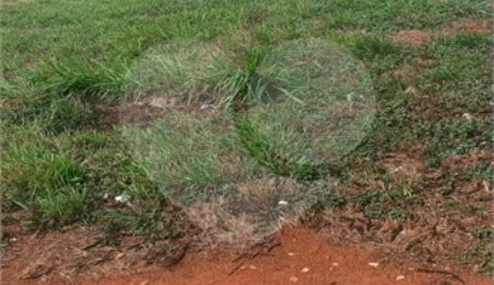 Terreno à venda em Parque Olívio Franceschini, Hortolândia, SP