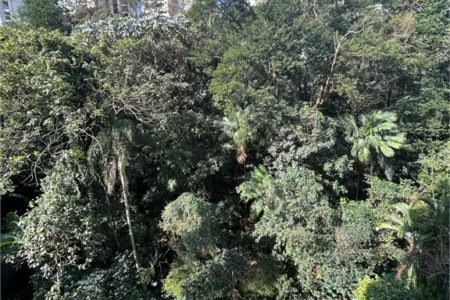 Apartamento à venda com 2 suítes em Parque do Morumbi, São Paulo, SP