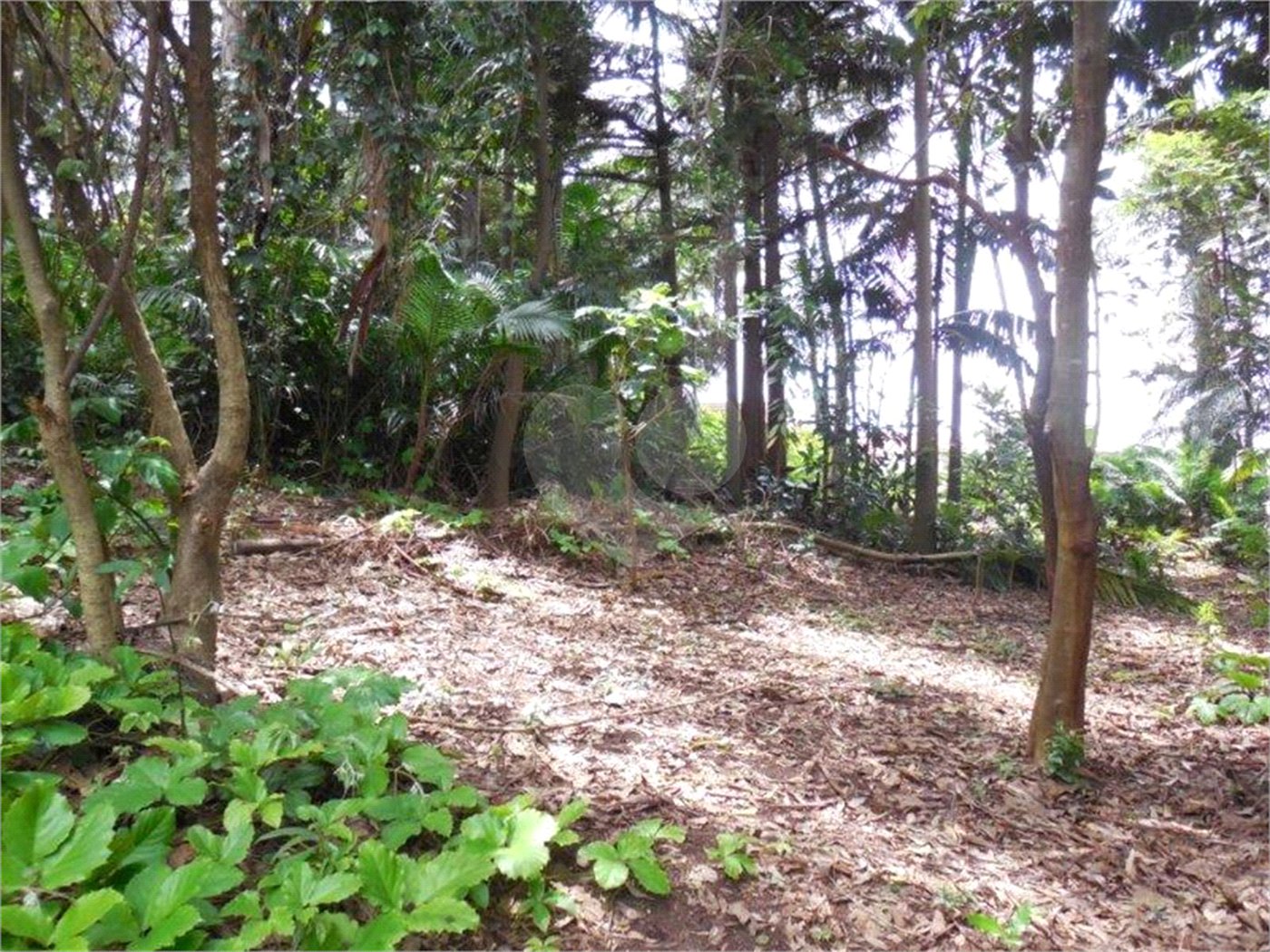 Terreno à venda em Alto da Boa Vista, São Paulo, SP