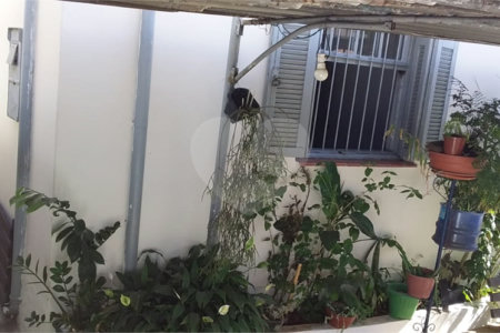 Terreno à venda com 2 quartos em Santa Teresinha, São Paulo, SP