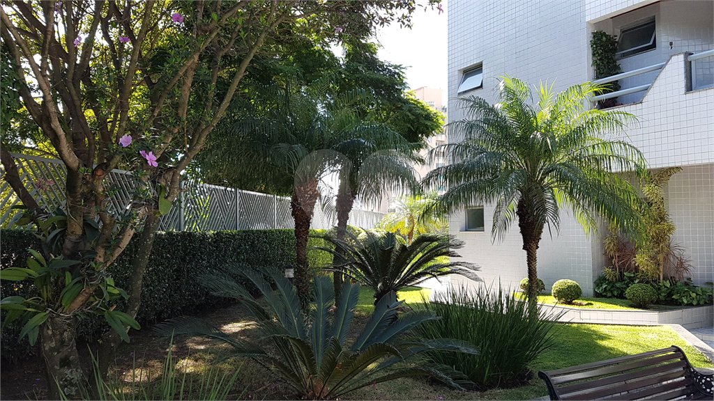 Apartamento à venda com 3 quartos, sendo 1 suíte, em Vila Paulicéia, São Paulo, SP