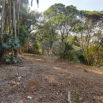 Casa à venda com 1 quarto no condomínio Chácara Flora, São Paulo - SP