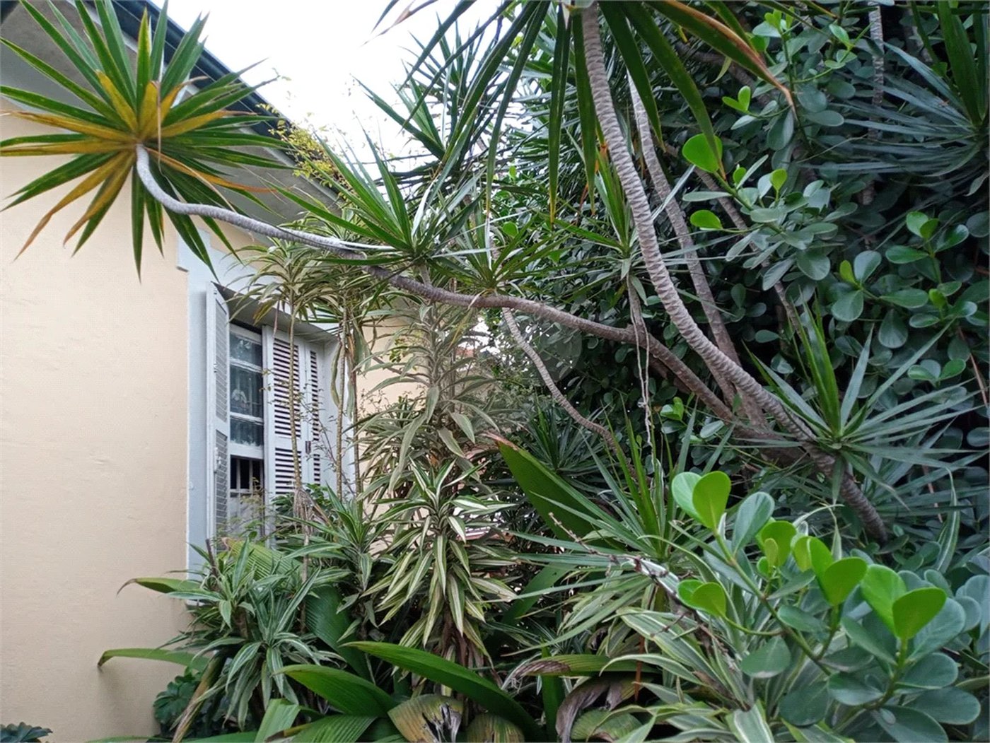 Sobrado à venda com 3 quartos em Vila Maria Alta, São Paulo, SP
