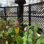 Apartamento Residencial à venda, Embaré, Santos - AP0861.