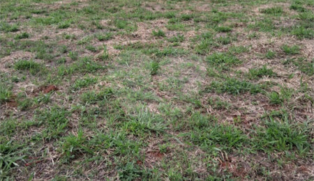 Terreno à venda em Mato Dentro, Mairinque, SP