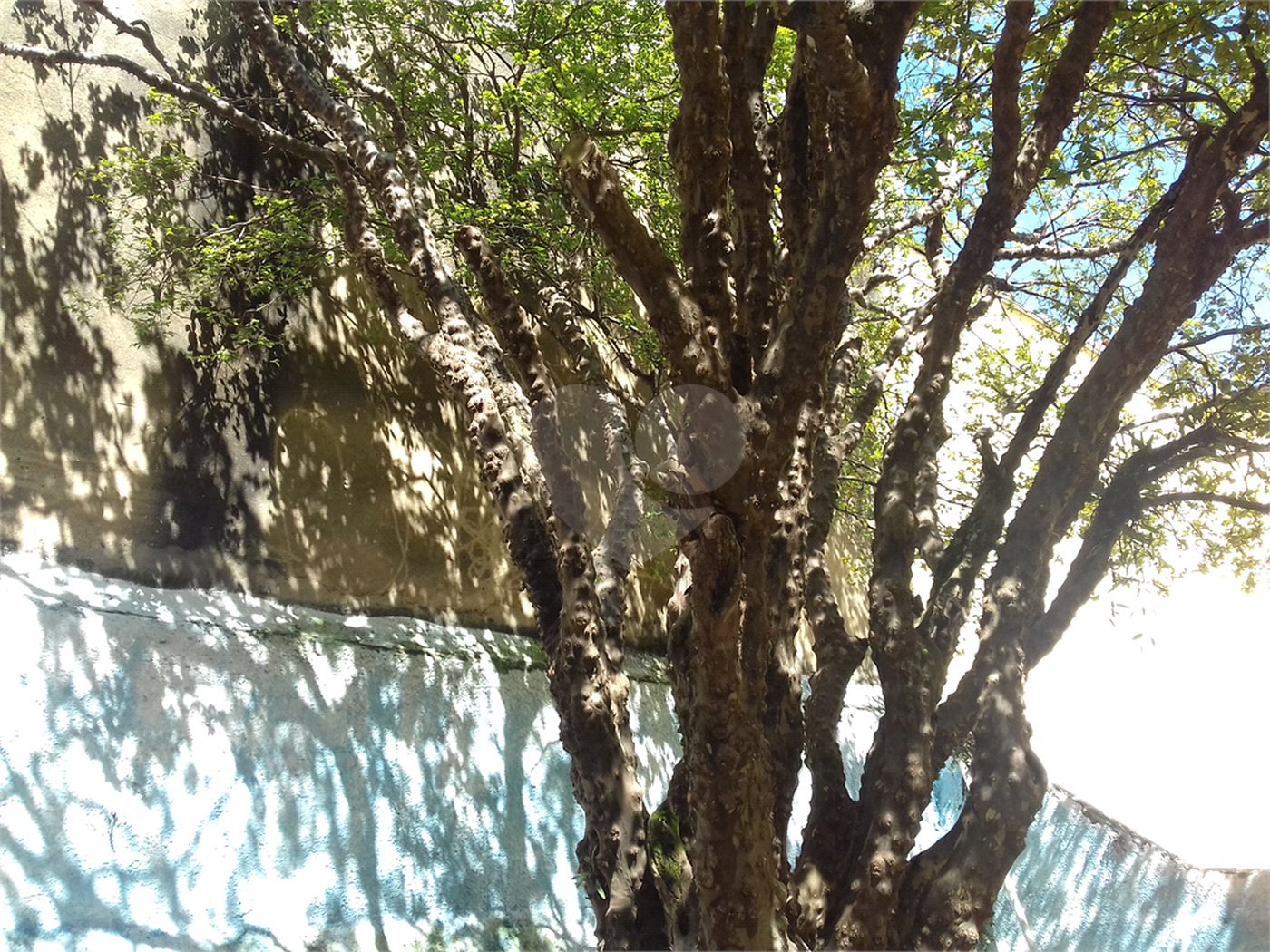 Sobrado à venda com 3 quartos em Jardim São Paulo(zona Norte), São Paulo, SP